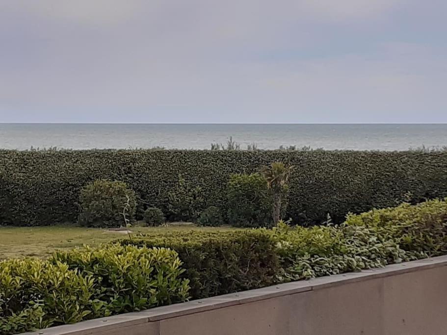 Les Rivages De Rochelongues, T3, Piscine, Clim, Parking Appartement Agde Buitenkant foto